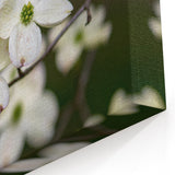 Dogwood Flower Wall Art - Botanical Nature Canvas for Home Decor