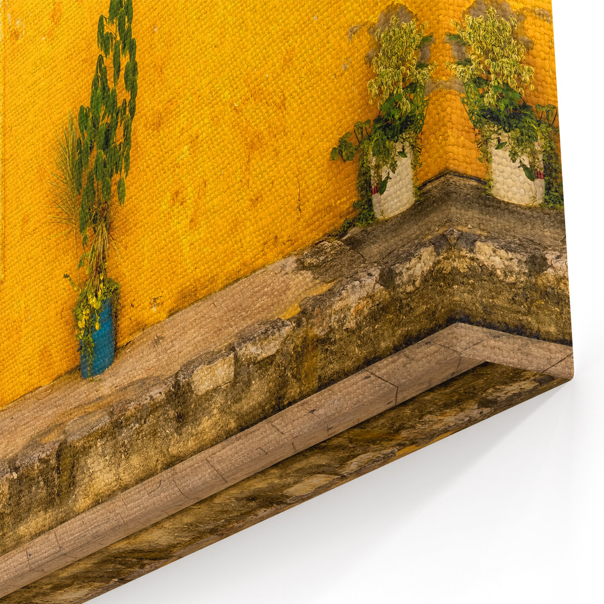 Mexico City Wall Art - Vibrant Yellow Façade with Potted Plants Canvas