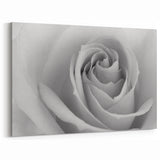 Elegant Black and White Rose Wall Art – Romantic Floral Rose Canvas Print