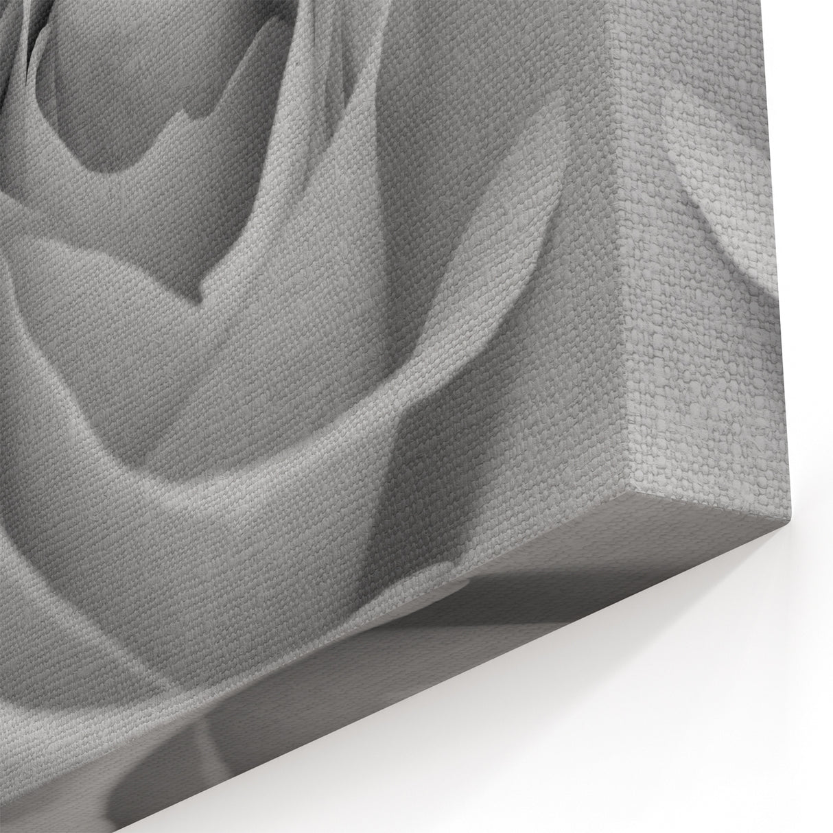 Elegant Black and White Rose Wall Art – Romantic Floral Rose Canvas Print