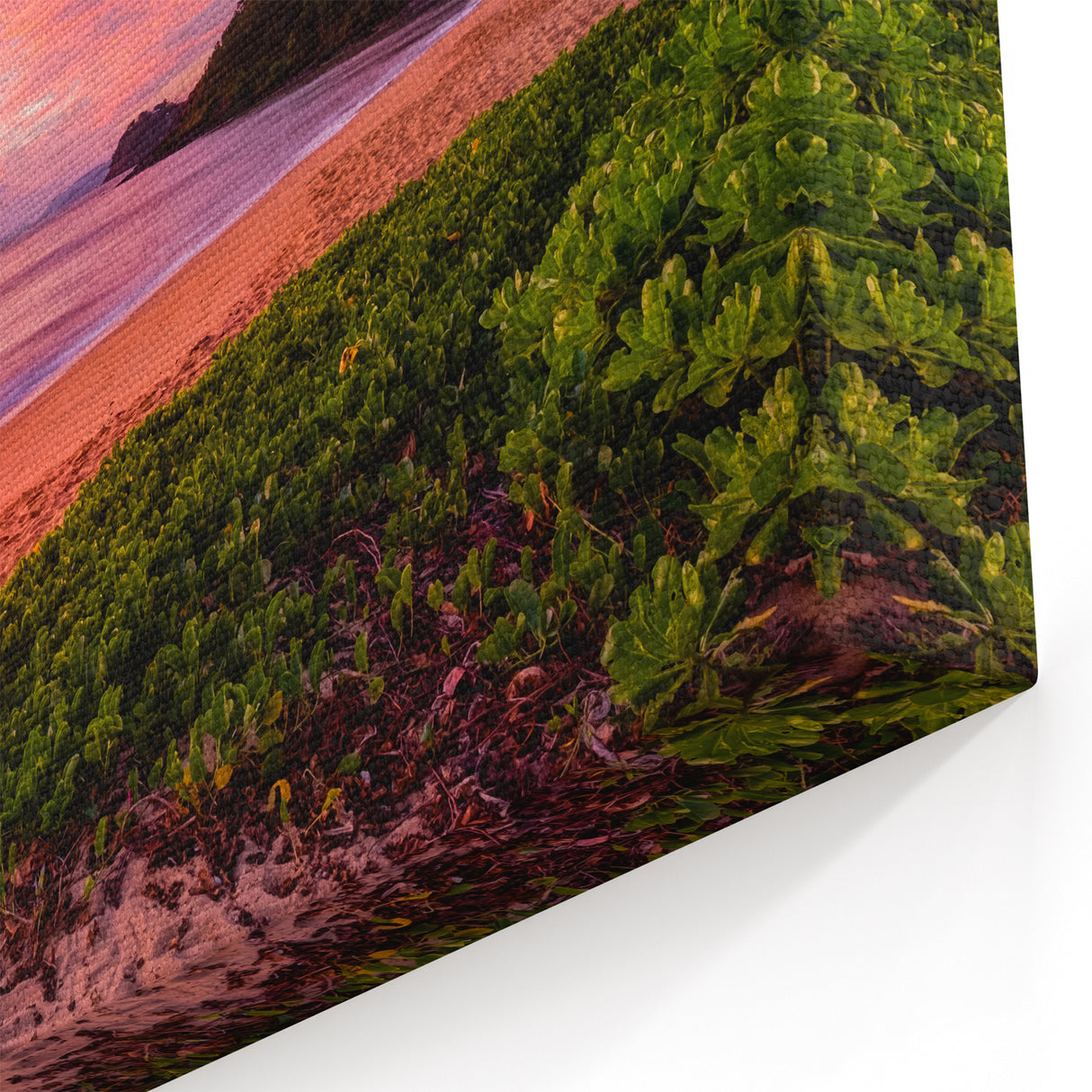 Queensland Beach Art - Vibrant Sunset Over Palm Cove Coastal Canvas