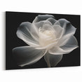 Translucent White Rose Wall Art – Elegant Floral Rose Canvas Print