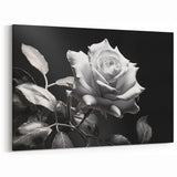 Monochrome White Rose Wall Art – Elegant Floral Rose Canvas Print
