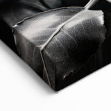 Monochrome White Rose Wall Art – Elegant Floral Rose Canvas Print