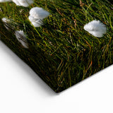 Cotton Grass Meadow – Lush Arctic Landscape Wall Art from Northwest Territories
