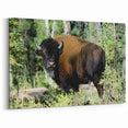 Majestic Bison in the Forest – Wildlife Wall Art from Northwest Territories