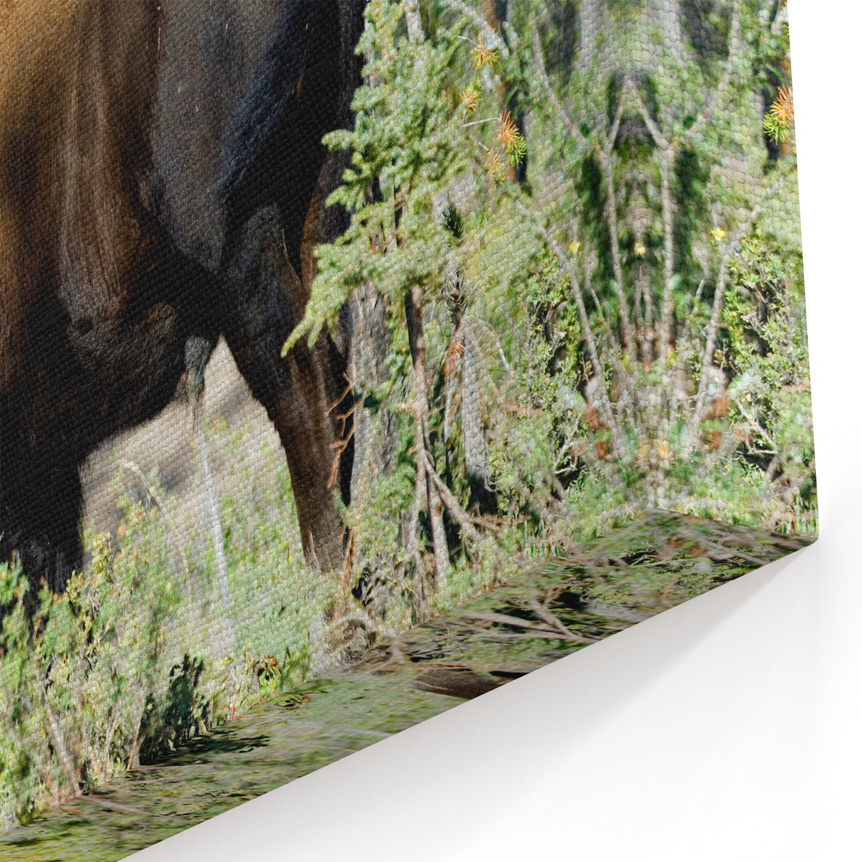 Majestic Bison in the Forest – Wildlife Wall Art from Northwest Territories