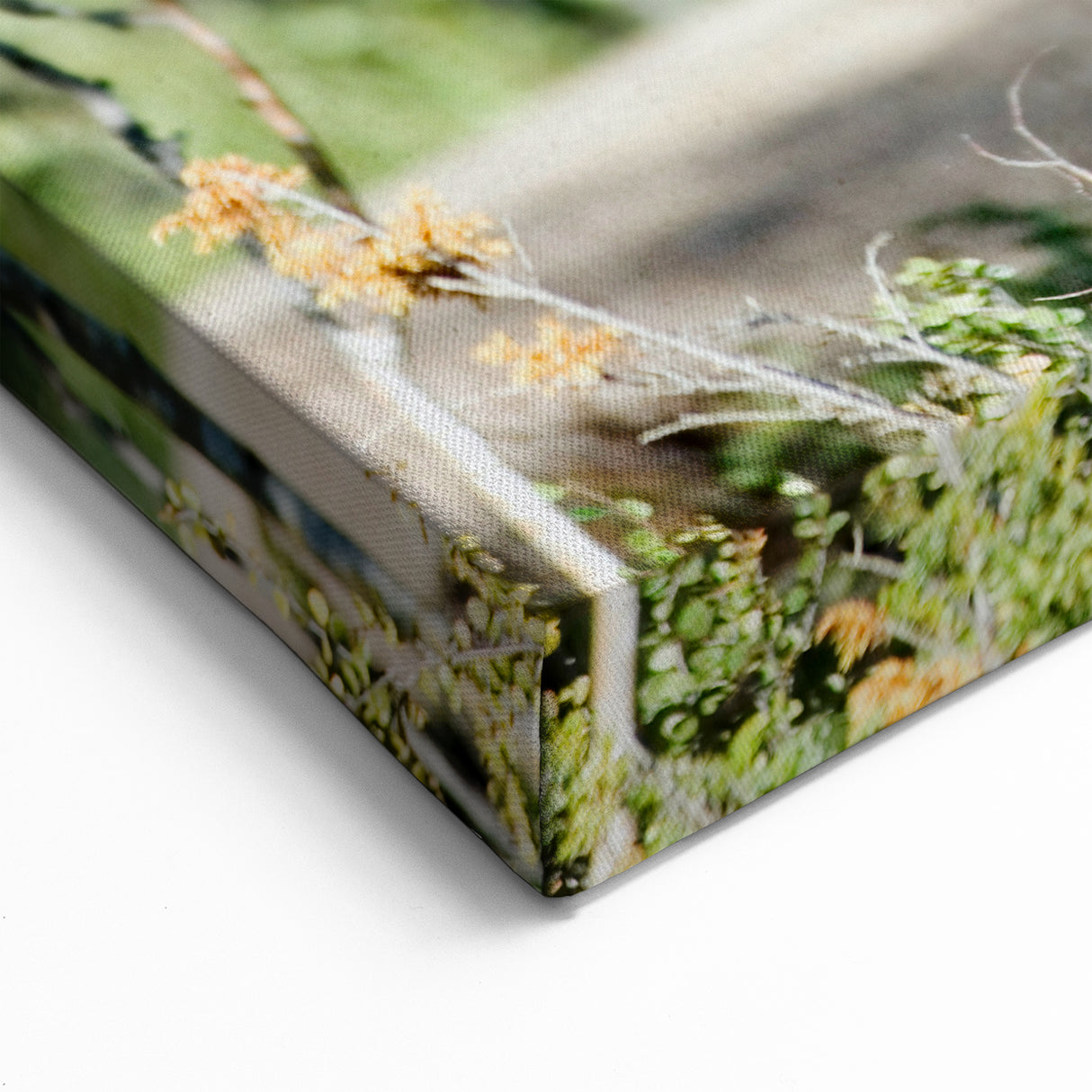 Majestic Bison in the Forest – Wildlife Wall Art from Northwest Territories