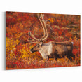Caribou in Autumn Tundra – Vibrant Wildlife Wall Art from Northwest Territories