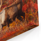 Caribou in Autumn Tundra – Vibrant Wildlife Wall Art from Northwest Territories