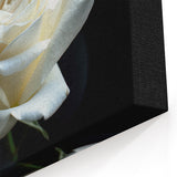 Elegant White Rose Wall Art – Beautiful Floral Rose Canvas Print Décor