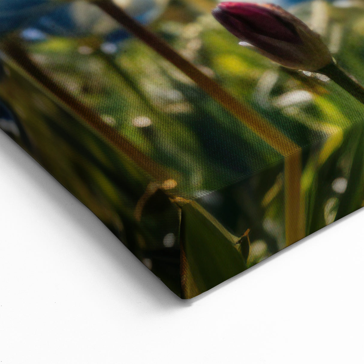 Sydney Opera House and Harbour Bridge Art - Floral Foreground Canvas Print