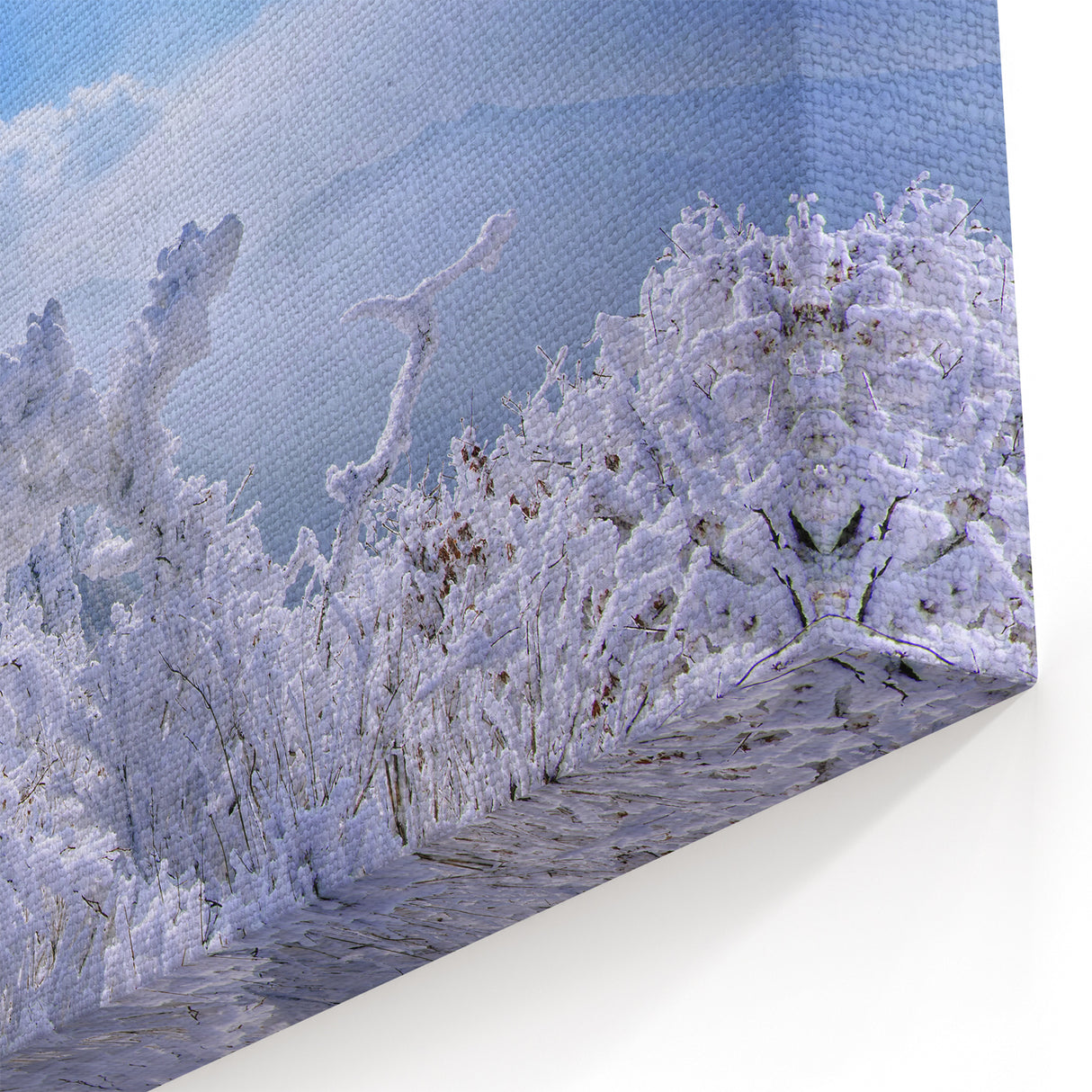 Winter Wonderland in Korea - Scenic Snowy Landscape Art Print