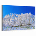 Snow-Covered Korean Forest - Scenic Winter Landscape Art Print