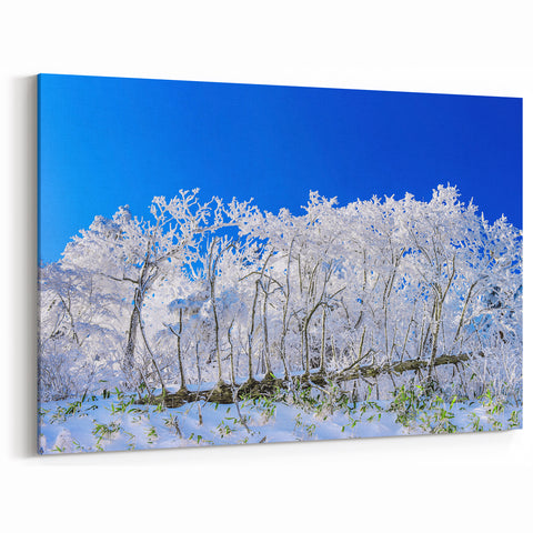 Snow-Covered Korean Forest - Scenic Winter Landscape Art Print