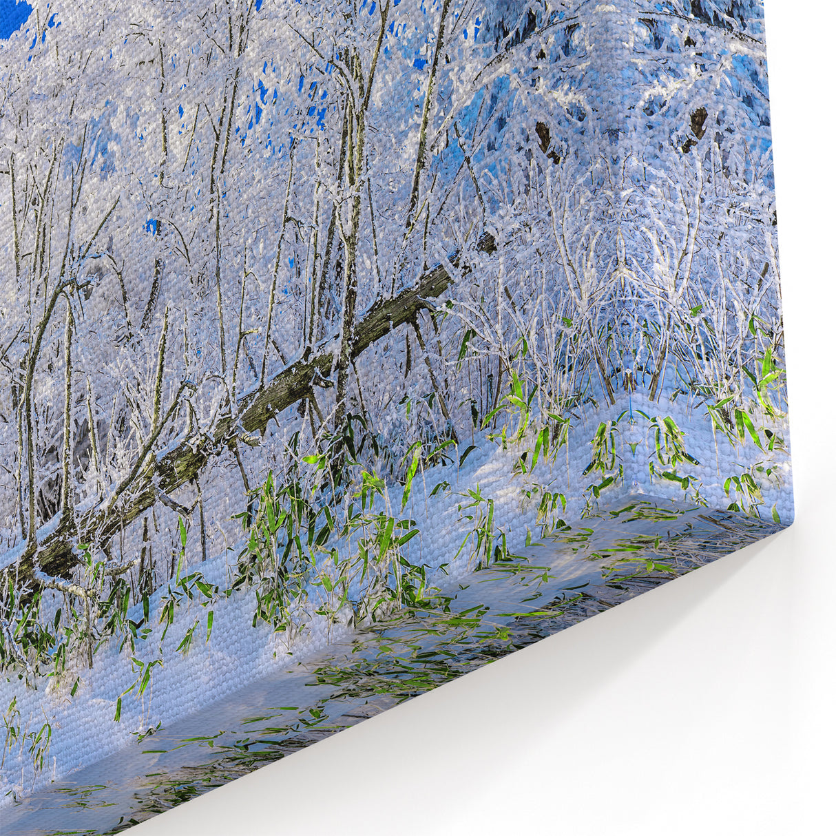 Snow-Covered Korean Forest - Scenic Winter Landscape Art Print