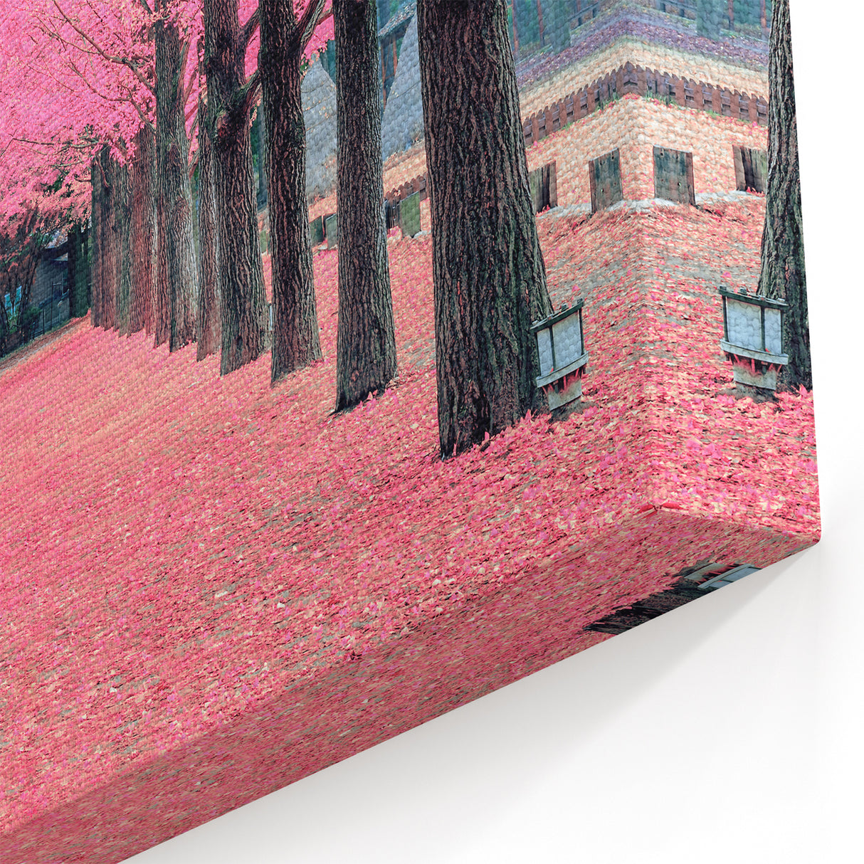 Vibrant Pink Korean Trees - Scenic Pathway Nature Art Print