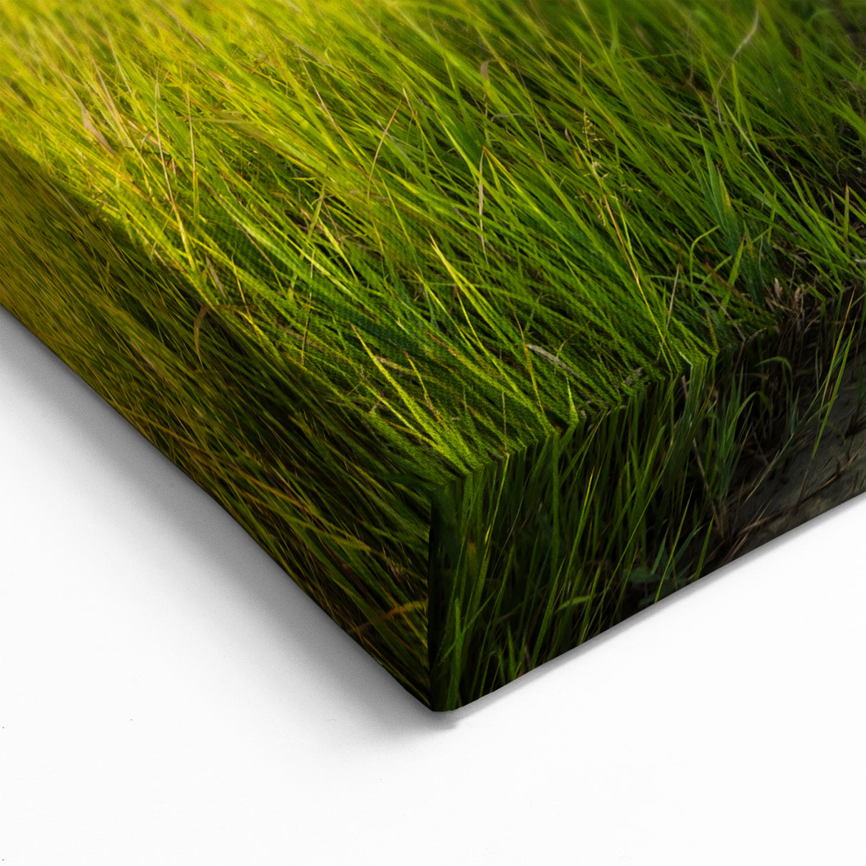 Korean Windmills in Green Field - Scenic Landscape Art Print