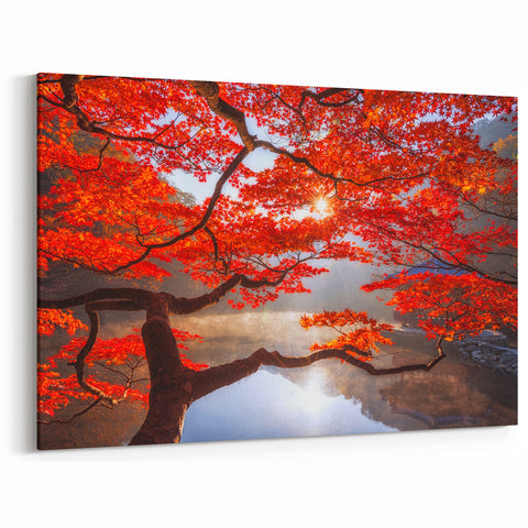 Korean Autumn Maple Tree - Scenic Red Leaves Art Print