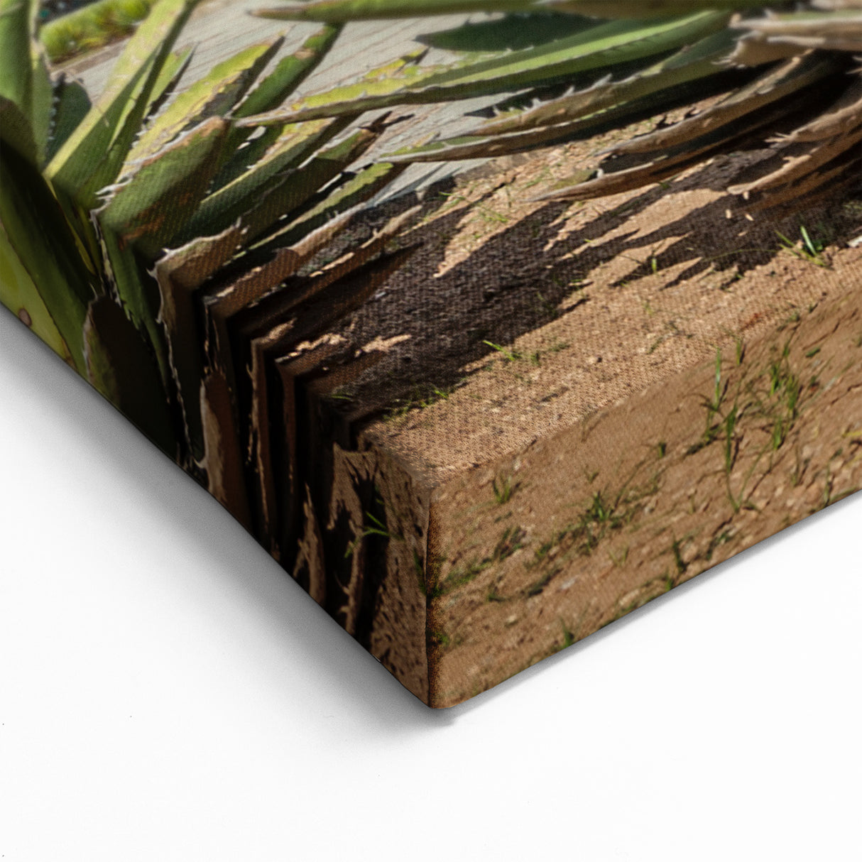 Artistic Oaxaca Landscapes - Stunning Mexican Street Art Canvas Prints