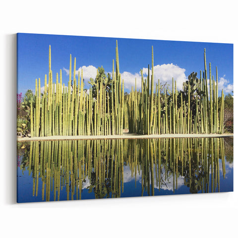 Cultural Art from Oaxaca - Vibrant Mexican Street Art Cactus Canvas Print