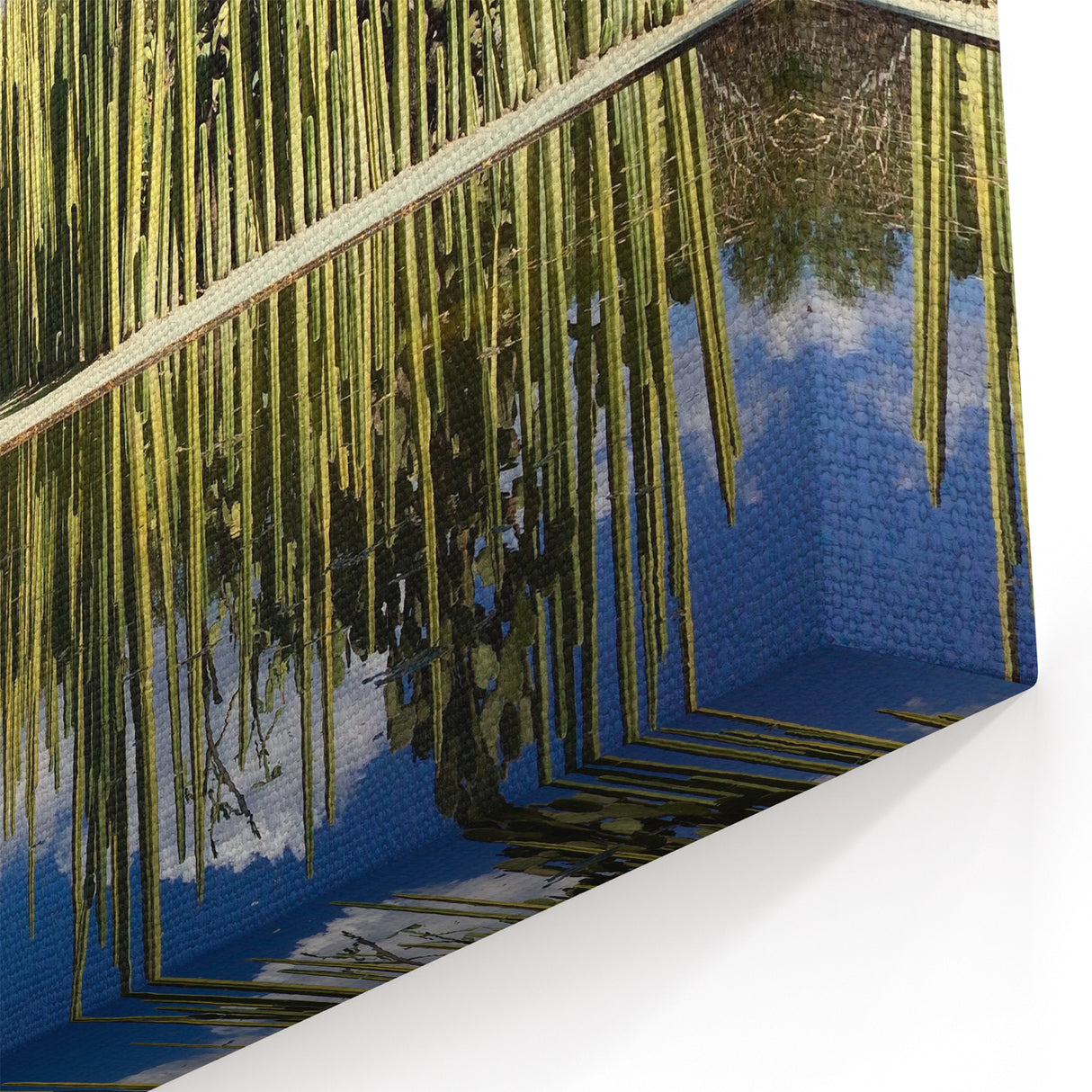 Cultural Art from Oaxaca - Vibrant Mexican Street Art Cactus Canvas Print