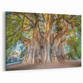 Majestic Oaxaca Tree Art - Scenic Mexican Landscape Canvas Print