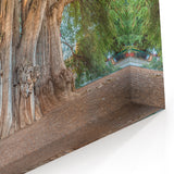 Majestic Oaxaca Tree Art - Scenic Mexican Landscape Canvas Print