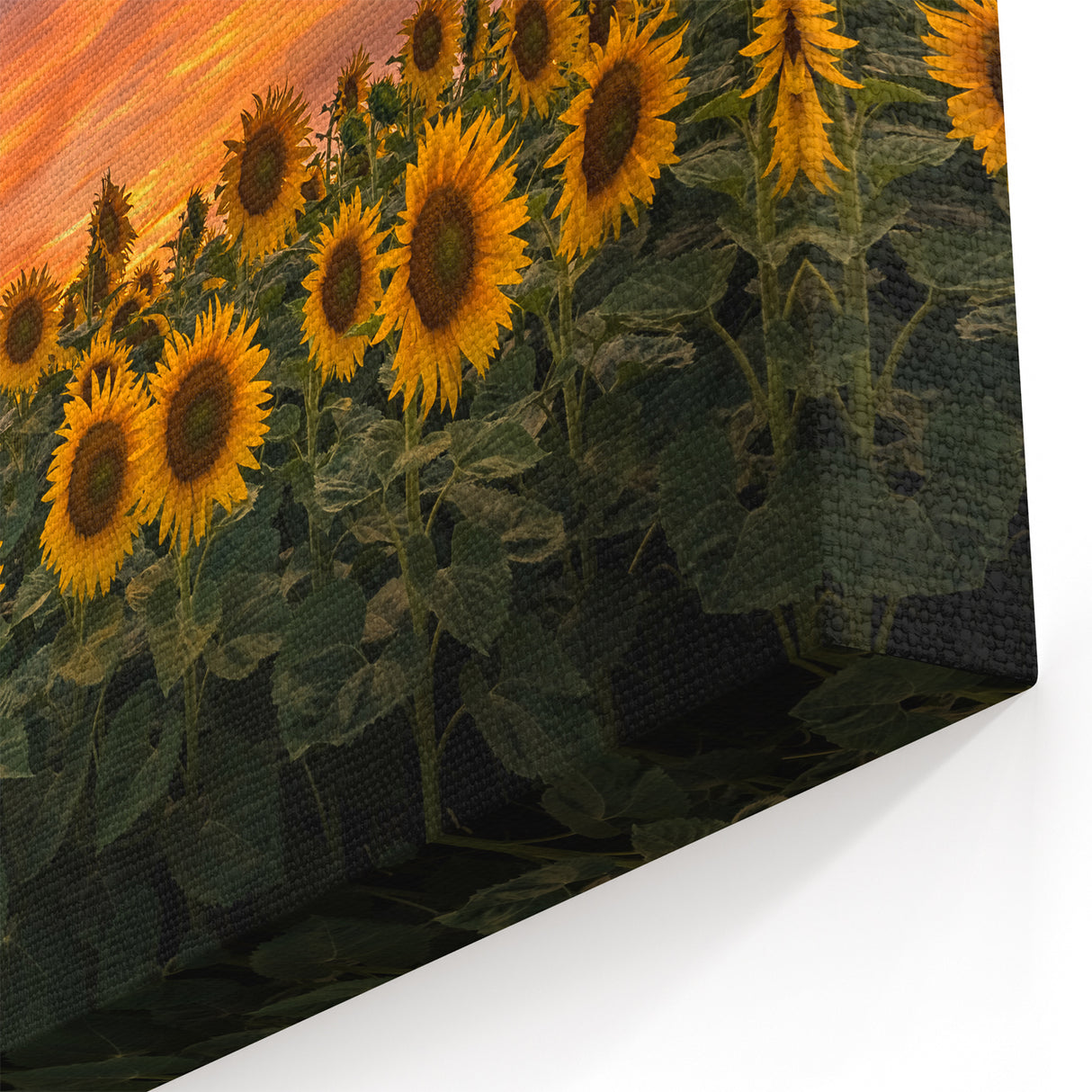 Vibrant Sunflower Wall Art | Stunning Sunflower Canvas Print for Home Decor
