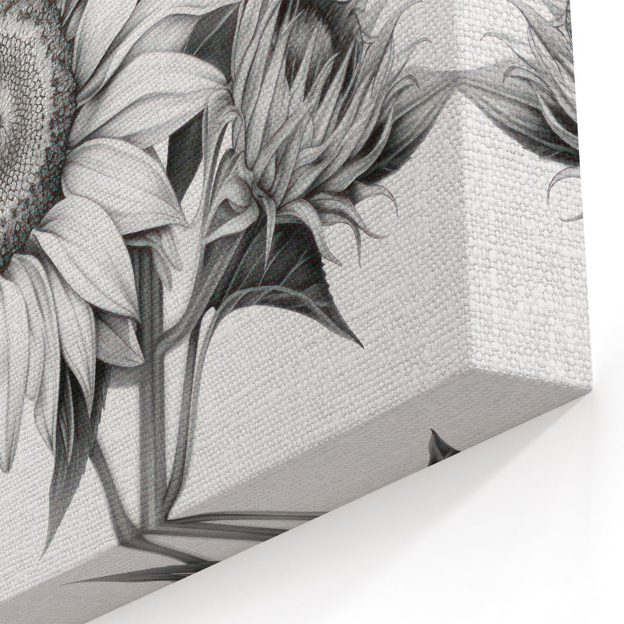 Modern Monochrome Sunflower Wall Art | Black and White Sunflower Print