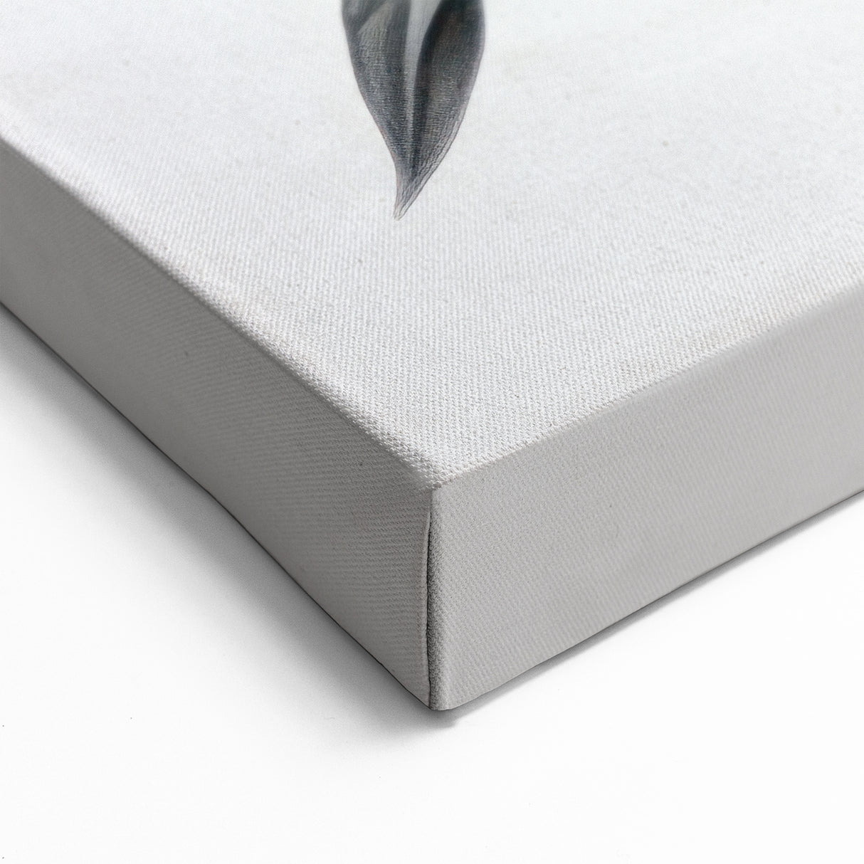 Modern Monochrome Sunflower Wall Art | Black and White Sunflower Print