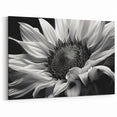 Elegant Black and White Sunflower Art | Minimalist Sunflower Canvas Print