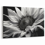 Elegant Black and White Sunflower Art | Minimalist Sunflower Canvas Print