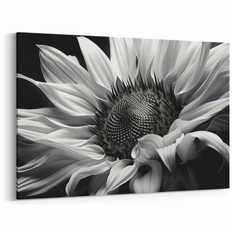 Elegant Black and White Sunflower Art | Minimalist Sunflower Canvas Print