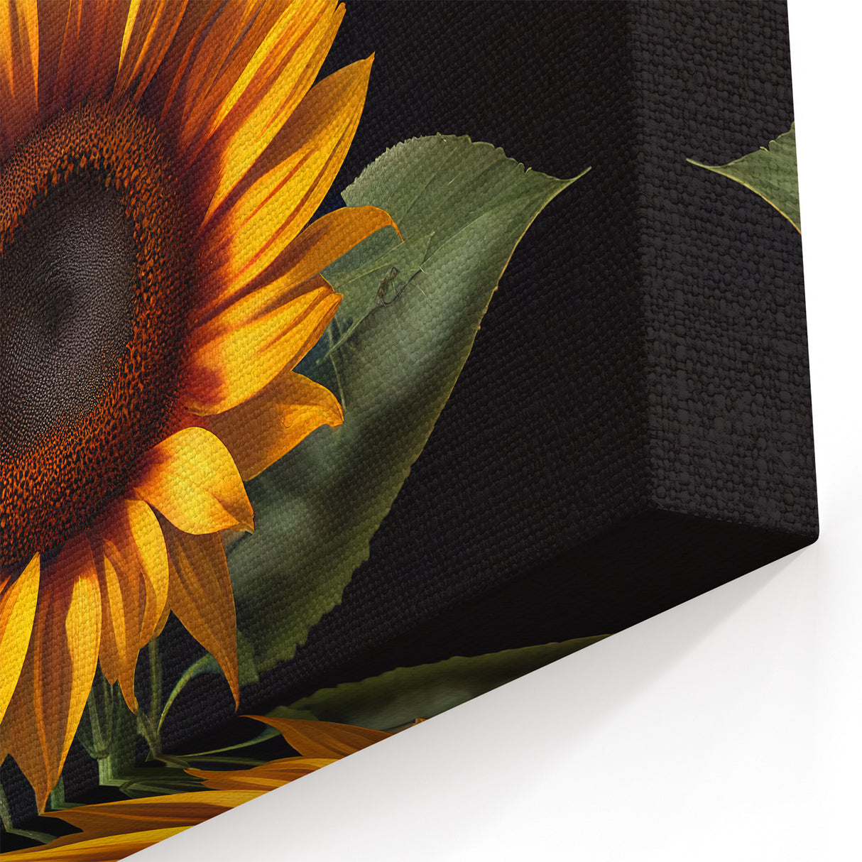 Bold Sunflower Trio Wall Art | Bright Sunflower Canvas Print