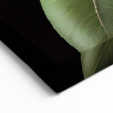 Bold Sunflower Trio Wall Art | Bright Sunflower Canvas Print