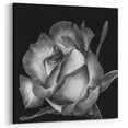 Timeless Black & White Rose Wall Art - Classic Floral Rose Canvas Print