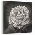 Musical Rose Wall Art - Creative Floral Rose Canvas Print with Music Notes