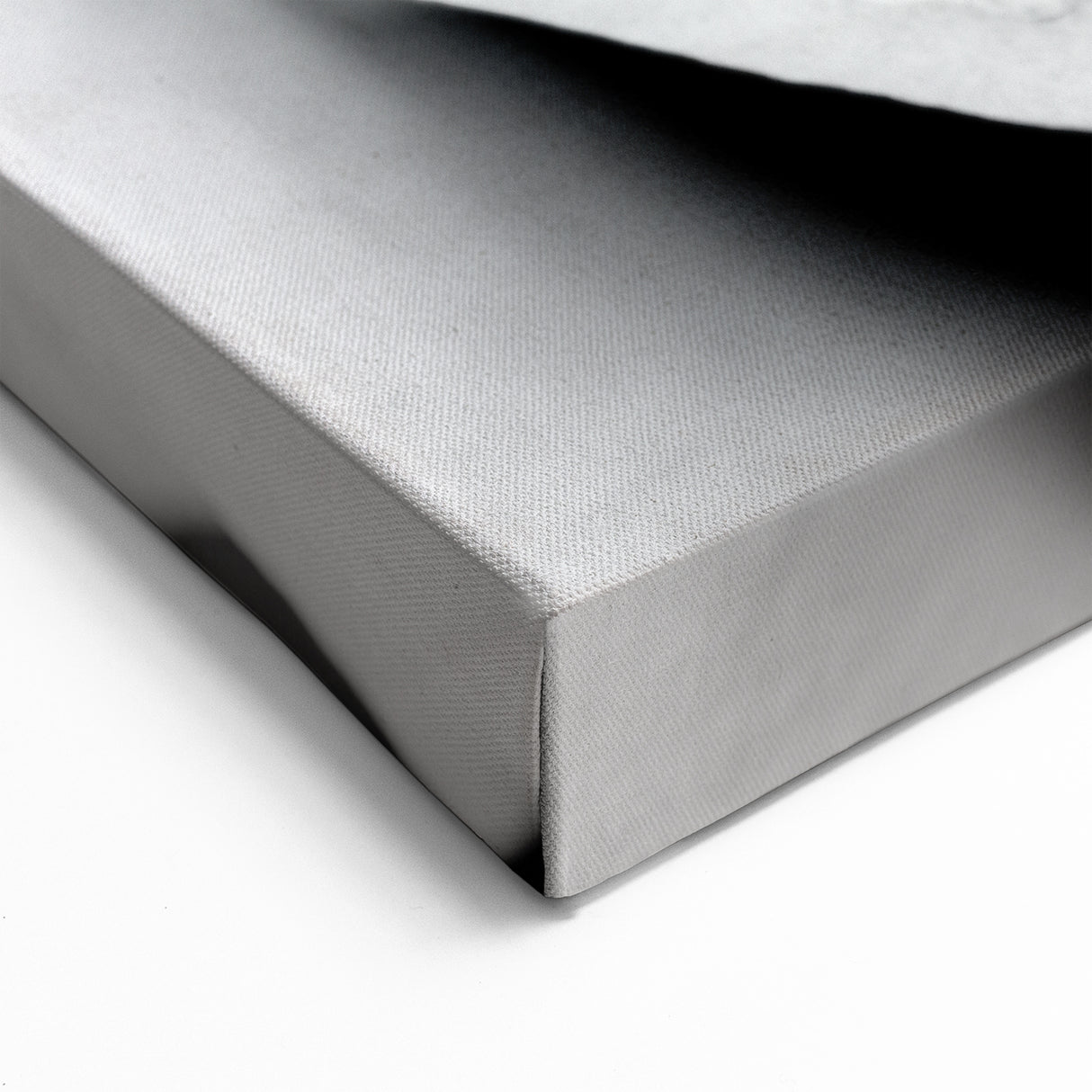 Minimalist Black & White Rose Close-Up Wall Art - Elegant Floral Canvas Print