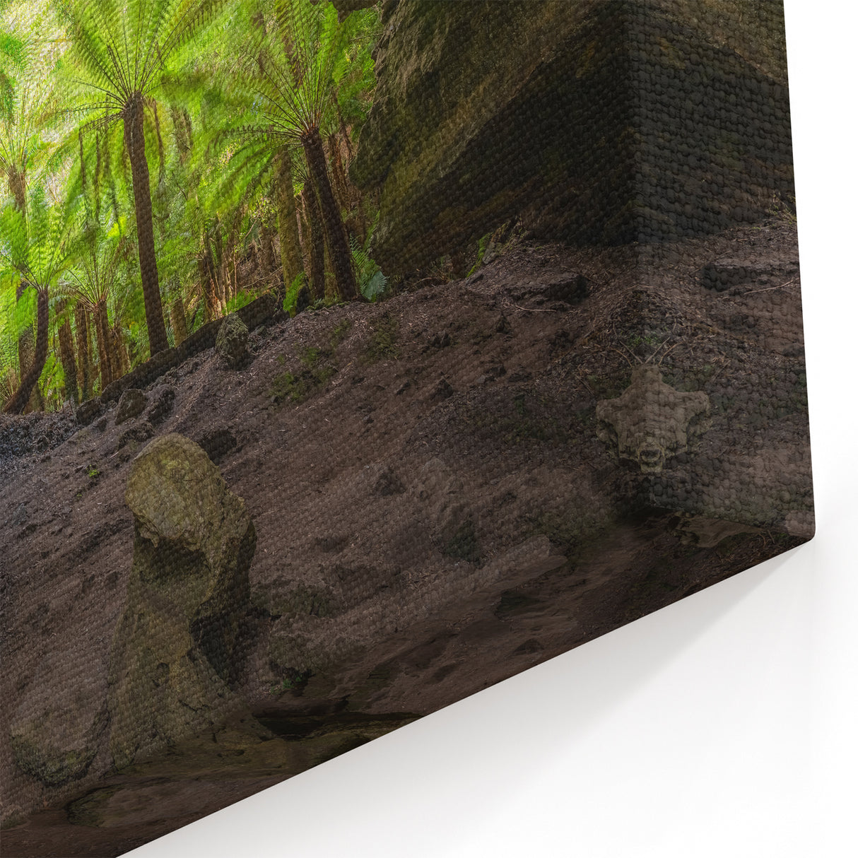 Tasmania Canvas Art – Fern Forest Cave Scenic Tasmania Landscape Print