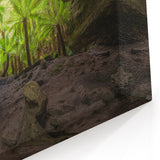 Tasmania Canvas Art – Fern Forest Cave Scenic Tasmania Landscape Print