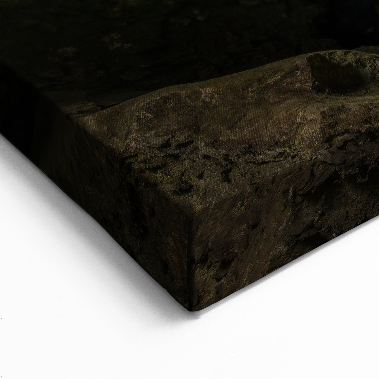 Tasmania Canvas Art – Fern Forest Cave Scenic Tasmania Landscape Print