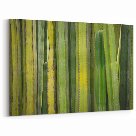 Oaxaca Wall Art – Vibrant Green Cactus Texture from Mexican Landscape