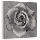 Monochrome Rose Wall Art - Elegant Floral Rose Canvas Print for Timeless Decor