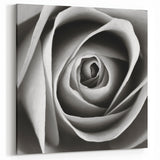 Monochrome Rose Close-Up Wall Art - Elegant Floral Rose Canvas Print Decor
