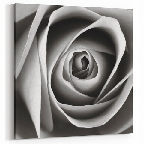 Monochrome Rose Close-Up Wall Art - Elegant Floral Rose Canvas Print Decor
