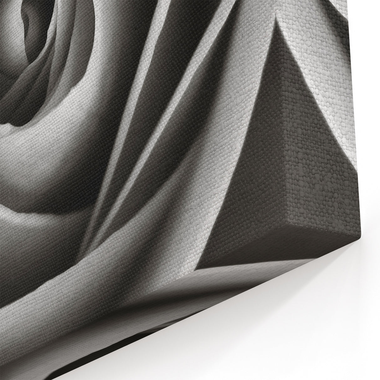 Monochrome Rose Close-Up Wall Art - Elegant Floral Rose Canvas Print Decor