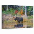 Majestic Moose in Ontario Wilderness – Stunning Wildlife Wall Art