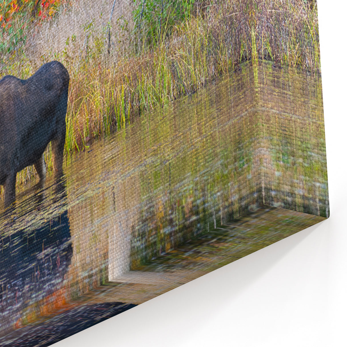 Majestic Moose in Ontario Wilderness – Stunning Wildlife Wall Art