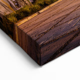 Oaxaca Wall Art – Majestic Colonial Architecture Illuminated at Night